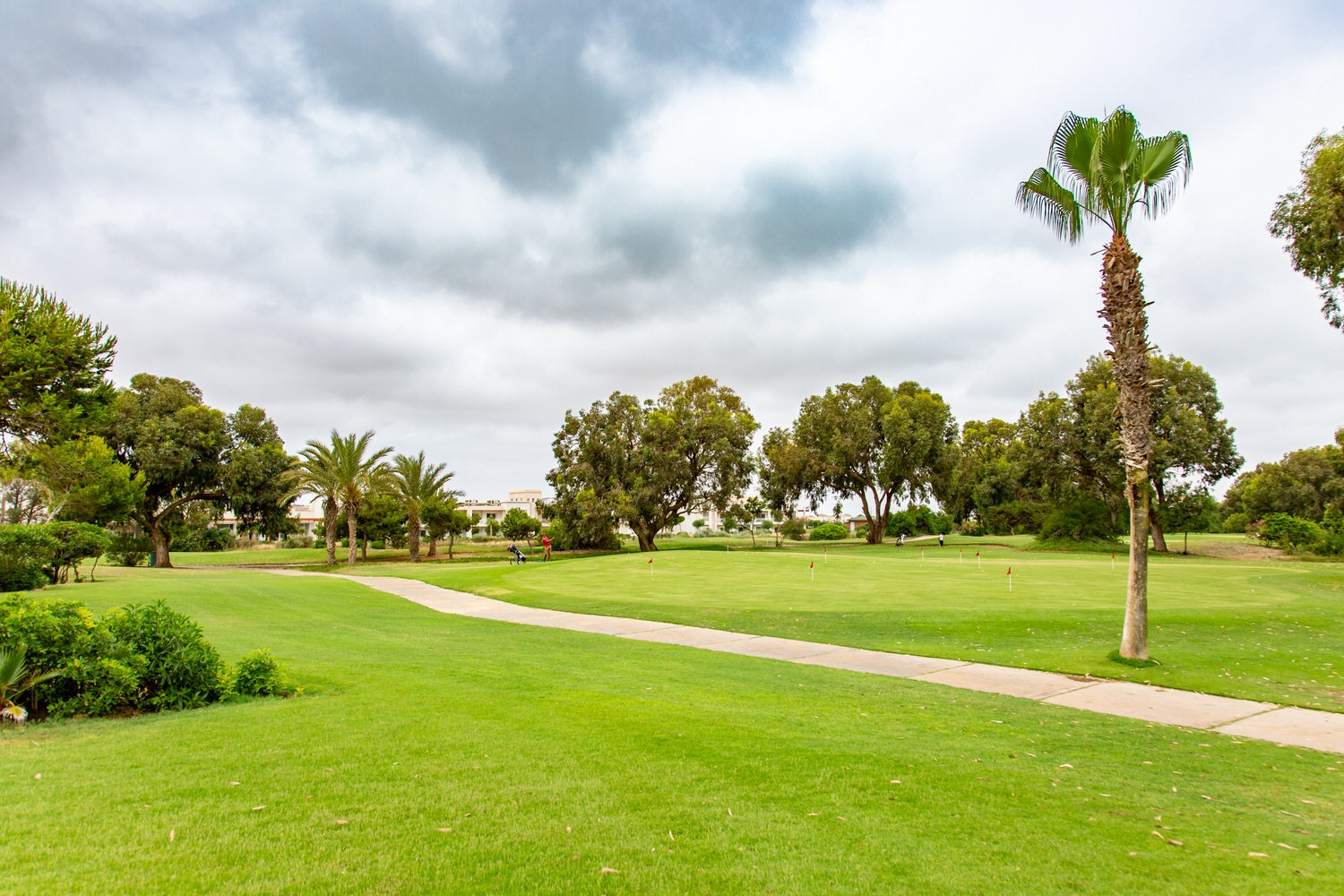 Aphrodite Golfcup 2025